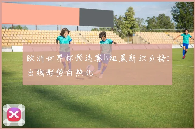 欧洲世界杯预选赛E组最新积分榜：出线形势白热化