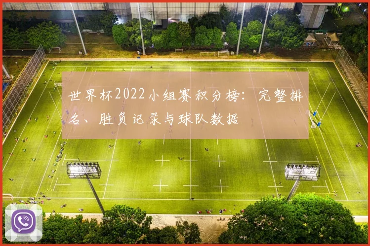 世界杯2022小组赛积分榜：完整排名、胜负记录与球队数据