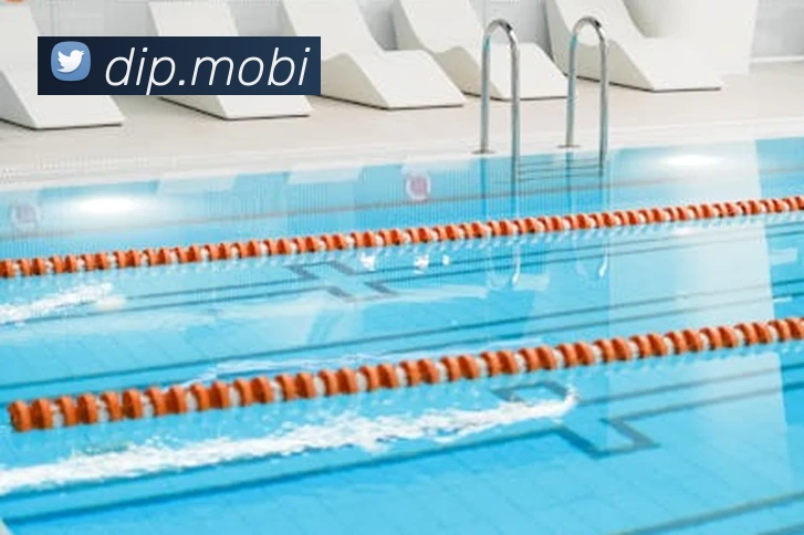 开云综合app官网登录发展历程